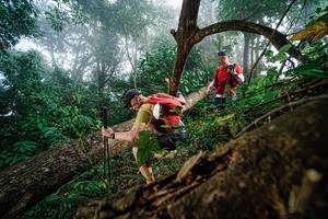 BIB: 
                            <button type="button" onclick="openModal(22778728)" class="btn btn-primary btn-sm float-right btn-popup" data-toggle="modal" data-target=".modal-high-quality">
                        <i class="fas fa-shopping-cart"></i> Add to Cart
                    </button>
                                            <button type="button" onclick="isThisMe(22778728, true)" class="btn btn-success btn-sm float-right btn-popup btn-isme hidden" data-toggle="tooltip" data-placement="bottom" title="นี่คือรูปของคุณใช่ไหม คลิกที่นี่เพื่อเอาเข้าอัลบั้ม">
                        <i class="fas fa-plus"></i> Add to album
                    </button>
                    <button type="button" onclick="isThisMe(22778728, false)" class="btn btn-warning btn-sm float-right btn-popup btn-isnotme hidden">
                        <i class="fas fa-ban"></i> Remove from album
                    </button>