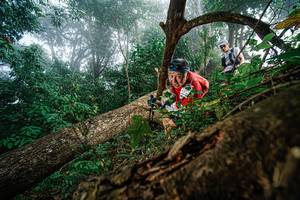 BIB: 
                            <button type="button" onclick="openModal(22778729)" class="btn btn-primary btn-sm float-right btn-popup" data-toggle="modal" data-target=".modal-high-quality">
                        <i class="fas fa-shopping-cart"></i> Add to Cart
                    </button>
                                            <button type="button" onclick="isThisMe(22778729, true)" class="btn btn-success btn-sm float-right btn-popup btn-isme hidden" data-toggle="tooltip" data-placement="bottom" title="นี่คือรูปของคุณใช่ไหม คลิกที่นี่เพื่อเอาเข้าอัลบั้ม">
                        <i class="fas fa-plus"></i> Add to album
                    </button>
                    <button type="button" onclick="isThisMe(22778729, false)" class="btn btn-warning btn-sm float-right btn-popup btn-isnotme hidden">
                        <i class="fas fa-ban"></i> Remove from album
                    </button>