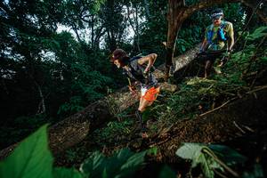 BIB: 
                            <button type="button" onclick="openModal(22775436)" class="btn btn-primary btn-sm float-right btn-popup" data-toggle="modal" data-target=".modal-high-quality">
                        <i class="fas fa-shopping-cart"></i> Add to Cart
                    </button>
                                            <button type="button" onclick="isThisMe(22775436, true)" class="btn btn-success btn-sm float-right btn-popup btn-isme hidden" data-toggle="tooltip" data-placement="bottom" title="นี่คือรูปของคุณใช่ไหม คลิกที่นี่เพื่อเอาเข้าอัลบั้ม">
                        <i class="fas fa-plus"></i> Add to album
                    </button>
                    <button type="button" onclick="isThisMe(22775436, false)" class="btn btn-warning btn-sm float-right btn-popup btn-isnotme hidden">
                        <i class="fas fa-ban"></i> Remove from album
                    </button>