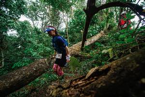 BIB: 
                            <button type="button" onclick="openModal(22779179)" class="btn btn-primary btn-sm float-right btn-popup" data-toggle="modal" data-target=".modal-high-quality">
                        <i class="fas fa-shopping-cart"></i> Add to Cart
                    </button>
                                            <button type="button" onclick="isThisMe(22779179, true)" class="btn btn-success btn-sm float-right btn-popup btn-isme hidden" data-toggle="tooltip" data-placement="bottom" title="นี่คือรูปของคุณใช่ไหม คลิกที่นี่เพื่อเอาเข้าอัลบั้ม">
                        <i class="fas fa-plus"></i> Add to album
                    </button>
                    <button type="button" onclick="isThisMe(22779179, false)" class="btn btn-warning btn-sm float-right btn-popup btn-isnotme hidden">
                        <i class="fas fa-ban"></i> Remove from album
                    </button>