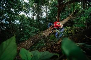 BIB: 
                            <button type="button" onclick="openModal(22777286)" class="btn btn-primary btn-sm float-right btn-popup" data-toggle="modal" data-target=".modal-high-quality">
                        <i class="fas fa-shopping-cart"></i> Add to Cart
                    </button>
                                            <button type="button" onclick="isThisMe(22777286, true)" class="btn btn-success btn-sm float-right btn-popup btn-isme hidden" data-toggle="tooltip" data-placement="bottom" title="นี่คือรูปของคุณใช่ไหม คลิกที่นี่เพื่อเอาเข้าอัลบั้ม">
                        <i class="fas fa-plus"></i> Add to album
                    </button>
                    <button type="button" onclick="isThisMe(22777286, false)" class="btn btn-warning btn-sm float-right btn-popup btn-isnotme hidden">
                        <i class="fas fa-ban"></i> Remove from album
                    </button>