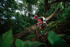 BIB: 
                            <button type="button" onclick="openModal(22777283)" class="btn btn-primary btn-sm float-right btn-popup" data-toggle="modal" data-target=".modal-high-quality">
                        <i class="fas fa-shopping-cart"></i> Add to Cart
                    </button>
                                            <button type="button" onclick="isThisMe(22777283, true)" class="btn btn-success btn-sm float-right btn-popup btn-isme hidden" data-toggle="tooltip" data-placement="bottom" title="นี่คือรูปของคุณใช่ไหม คลิกที่นี่เพื่อเอาเข้าอัลบั้ม">
                        <i class="fas fa-plus"></i> Add to album
                    </button>
                    <button type="button" onclick="isThisMe(22777283, false)" class="btn btn-warning btn-sm float-right btn-popup btn-isnotme hidden">
                        <i class="fas fa-ban"></i> Remove from album
                    </button>