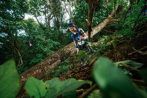 BIB: 
                            <button type="button" onclick="openModal(22777259)" class="btn btn-primary btn-sm float-right btn-popup" data-toggle="modal" data-target=".modal-high-quality">
                        <i class="fas fa-shopping-cart"></i> Add to Cart
                    </button>
                                            <button type="button" onclick="isThisMe(22777259, true)" class="btn btn-success btn-sm float-right btn-popup btn-isme hidden" data-toggle="tooltip" data-placement="bottom" title="นี่คือรูปของคุณใช่ไหม คลิกที่นี่เพื่อเอาเข้าอัลบั้ม">
                        <i class="fas fa-plus"></i> Add to album
                    </button>
                    <button type="button" onclick="isThisMe(22777259, false)" class="btn btn-warning btn-sm float-right btn-popup btn-isnotme hidden">
                        <i class="fas fa-ban"></i> Remove from album
                    </button>