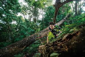 BIB: 
                            <button type="button" onclick="openModal(22778204)" class="btn btn-primary btn-sm float-right btn-popup" data-toggle="modal" data-target=".modal-high-quality">
                        <i class="fas fa-shopping-cart"></i> Add to Cart
                    </button>
                                            <button type="button" onclick="isThisMe(22778204, true)" class="btn btn-success btn-sm float-right btn-popup btn-isme hidden" data-toggle="tooltip" data-placement="bottom" title="นี่คือรูปของคุณใช่ไหม คลิกที่นี่เพื่อเอาเข้าอัลบั้ม">
                        <i class="fas fa-plus"></i> Add to album
                    </button>
                    <button type="button" onclick="isThisMe(22778204, false)" class="btn btn-warning btn-sm float-right btn-popup btn-isnotme hidden">
                        <i class="fas fa-ban"></i> Remove from album
                    </button>