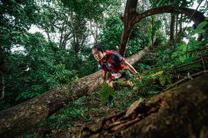 BIB: 
                            <button type="button" onclick="openModal(22778682)" class="btn btn-primary btn-sm float-right btn-popup" data-toggle="modal" data-target=".modal-high-quality">
                        <i class="fas fa-shopping-cart"></i> Add to Cart
                    </button>
                                            <button type="button" onclick="isThisMe(22778682, true)" class="btn btn-success btn-sm float-right btn-popup btn-isme hidden" data-toggle="tooltip" data-placement="bottom" title="นี่คือรูปของคุณใช่ไหม คลิกที่นี่เพื่อเอาเข้าอัลบั้ม">
                        <i class="fas fa-plus"></i> Add to album
                    </button>
                    <button type="button" onclick="isThisMe(22778682, false)" class="btn btn-warning btn-sm float-right btn-popup btn-isnotme hidden">
                        <i class="fas fa-ban"></i> Remove from album
                    </button>