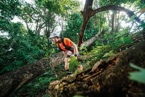 BIB: 
                            <button type="button" onclick="openModal(22778177)" class="btn btn-primary btn-sm float-right btn-popup" data-toggle="modal" data-target=".modal-high-quality">
                        <i class="fas fa-shopping-cart"></i> Add to Cart
                    </button>
                                            <button type="button" onclick="isThisMe(22778177, true)" class="btn btn-success btn-sm float-right btn-popup btn-isme hidden" data-toggle="tooltip" data-placement="bottom" title="นี่คือรูปของคุณใช่ไหม คลิกที่นี่เพื่อเอาเข้าอัลบั้ม">
                        <i class="fas fa-plus"></i> Add to album
                    </button>
                    <button type="button" onclick="isThisMe(22778177, false)" class="btn btn-warning btn-sm float-right btn-popup btn-isnotme hidden">
                        <i class="fas fa-ban"></i> Remove from album
                    </button>