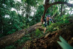 BIB: 
                            <button type="button" onclick="openModal(22778238)" class="btn btn-primary btn-sm float-right btn-popup" data-toggle="modal" data-target=".modal-high-quality">
                        <i class="fas fa-shopping-cart"></i> Add to Cart
                    </button>
                                            <button type="button" onclick="isThisMe(22778238, true)" class="btn btn-success btn-sm float-right btn-popup btn-isme hidden" data-toggle="tooltip" data-placement="bottom" title="นี่คือรูปของคุณใช่ไหม คลิกที่นี่เพื่อเอาเข้าอัลบั้ม">
                        <i class="fas fa-plus"></i> Add to album
                    </button>
                    <button type="button" onclick="isThisMe(22778238, false)" class="btn btn-warning btn-sm float-right btn-popup btn-isnotme hidden">
                        <i class="fas fa-ban"></i> Remove from album
                    </button>