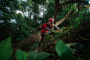 BIB: 
                            <button type="button" onclick="openModal(22777299)" class="btn btn-primary btn-sm float-right btn-popup" data-toggle="modal" data-target=".modal-high-quality">
                        <i class="fas fa-shopping-cart"></i> Add to Cart
                    </button>
                                            <button type="button" onclick="isThisMe(22777299, true)" class="btn btn-success btn-sm float-right btn-popup btn-isme hidden" data-toggle="tooltip" data-placement="bottom" title="นี่คือรูปของคุณใช่ไหม คลิกที่นี่เพื่อเอาเข้าอัลบั้ม">
                        <i class="fas fa-plus"></i> Add to album
                    </button>
                    <button type="button" onclick="isThisMe(22777299, false)" class="btn btn-warning btn-sm float-right btn-popup btn-isnotme hidden">
                        <i class="fas fa-ban"></i> Remove from album
                    </button>