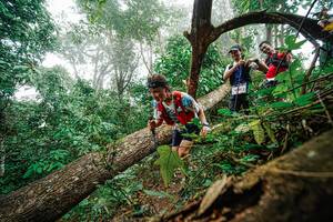 BIB: 
                            <button type="button" onclick="openModal(22779227)" class="btn btn-primary btn-sm float-right btn-popup" data-toggle="modal" data-target=".modal-high-quality">
                        <i class="fas fa-shopping-cart"></i> Add to Cart
                    </button>
                                            <button type="button" onclick="isThisMe(22779227, true)" class="btn btn-success btn-sm float-right btn-popup btn-isme hidden" data-toggle="tooltip" data-placement="bottom" title="นี่คือรูปของคุณใช่ไหม คลิกที่นี่เพื่อเอาเข้าอัลบั้ม">
                        <i class="fas fa-plus"></i> Add to album
                    </button>
                    <button type="button" onclick="isThisMe(22779227, false)" class="btn btn-warning btn-sm float-right btn-popup btn-isnotme hidden">
                        <i class="fas fa-ban"></i> Remove from album
                    </button>