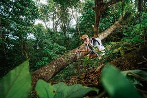 BIB: 
                            <button type="button" onclick="openModal(22777265)" class="btn btn-primary btn-sm float-right btn-popup" data-toggle="modal" data-target=".modal-high-quality">
                        <i class="fas fa-shopping-cart"></i> Add to Cart
                    </button>
                                            <button type="button" onclick="isThisMe(22777265, true)" class="btn btn-success btn-sm float-right btn-popup btn-isme hidden" data-toggle="tooltip" data-placement="bottom" title="นี่คือรูปของคุณใช่ไหม คลิกที่นี่เพื่อเอาเข้าอัลบั้ม">
                        <i class="fas fa-plus"></i> Add to album
                    </button>
                    <button type="button" onclick="isThisMe(22777265, false)" class="btn btn-warning btn-sm float-right btn-popup btn-isnotme hidden">
                        <i class="fas fa-ban"></i> Remove from album
                    </button>