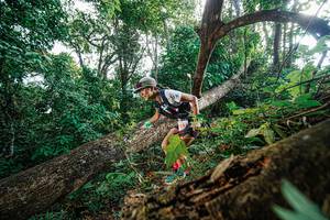 BIB: 183
                            <button type="button" onclick="openModal(22778220)" class="btn btn-primary btn-sm float-right btn-popup" data-toggle="modal" data-target=".modal-high-quality">
                        <i class="fas fa-shopping-cart"></i> Add to Cart
                    </button>
                                            <button type="button" onclick="isThisMe(22778220, true)" class="btn btn-success btn-sm float-right btn-popup btn-isme hidden" data-toggle="tooltip" data-placement="bottom" title="นี่คือรูปของคุณใช่ไหม คลิกที่นี่เพื่อเอาเข้าอัลบั้ม">
                        <i class="fas fa-plus"></i> Add to album
                    </button>
                    <button type="button" onclick="isThisMe(22778220, false)" class="btn btn-warning btn-sm float-right btn-popup btn-isnotme hidden">
                        <i class="fas fa-ban"></i> Remove from album
                    </button>