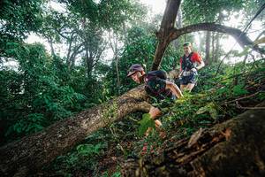 BIB: 
                            <button type="button" onclick="openModal(22777579)" class="btn btn-primary btn-sm float-right btn-popup" data-toggle="modal" data-target=".modal-high-quality">
                        <i class="fas fa-shopping-cart"></i> Add to Cart
                    </button>
                                            <button type="button" onclick="isThisMe(22777579, true)" class="btn btn-success btn-sm float-right btn-popup btn-isme hidden" data-toggle="tooltip" data-placement="bottom" title="นี่คือรูปของคุณใช่ไหม คลิกที่นี่เพื่อเอาเข้าอัลบั้ม">
                        <i class="fas fa-plus"></i> Add to album
                    </button>
                    <button type="button" onclick="isThisMe(22777579, false)" class="btn btn-warning btn-sm float-right btn-popup btn-isnotme hidden">
                        <i class="fas fa-ban"></i> Remove from album
                    </button>