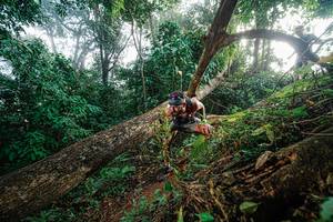 BIB: 
                            <button type="button" onclick="openModal(22777549)" class="btn btn-primary btn-sm float-right btn-popup" data-toggle="modal" data-target=".modal-high-quality">
                        <i class="fas fa-shopping-cart"></i> Add to Cart
                    </button>
                                            <button type="button" onclick="isThisMe(22777549, true)" class="btn btn-success btn-sm float-right btn-popup btn-isme hidden" data-toggle="tooltip" data-placement="bottom" title="นี่คือรูปของคุณใช่ไหม คลิกที่นี่เพื่อเอาเข้าอัลบั้ม">
                        <i class="fas fa-plus"></i> Add to album
                    </button>
                    <button type="button" onclick="isThisMe(22777549, false)" class="btn btn-warning btn-sm float-right btn-popup btn-isnotme hidden">
                        <i class="fas fa-ban"></i> Remove from album
                    </button>