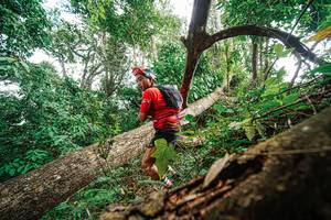 BIB: 
                            <button type="button" onclick="openModal(22779324)" class="btn btn-primary btn-sm float-right btn-popup" data-toggle="modal" data-target=".modal-high-quality">
                        <i class="fas fa-shopping-cart"></i> Add to Cart
                    </button>
                                            <button type="button" onclick="isThisMe(22779324, true)" class="btn btn-success btn-sm float-right btn-popup btn-isme hidden" data-toggle="tooltip" data-placement="bottom" title="นี่คือรูปของคุณใช่ไหม คลิกที่นี่เพื่อเอาเข้าอัลบั้ม">
                        <i class="fas fa-plus"></i> Add to album
                    </button>
                    <button type="button" onclick="isThisMe(22779324, false)" class="btn btn-warning btn-sm float-right btn-popup btn-isnotme hidden">
                        <i class="fas fa-ban"></i> Remove from album
                    </button>