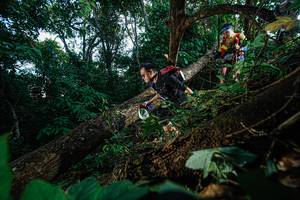 BIB: 
                            <button type="button" onclick="openModal(22777072)" class="btn btn-primary btn-sm float-right btn-popup" data-toggle="modal" data-target=".modal-high-quality">
                        <i class="fas fa-shopping-cart"></i> Add to Cart
                    </button>
                                            <button type="button" onclick="isThisMe(22777072, true)" class="btn btn-success btn-sm float-right btn-popup btn-isme hidden" data-toggle="tooltip" data-placement="bottom" title="นี่คือรูปของคุณใช่ไหม คลิกที่นี่เพื่อเอาเข้าอัลบั้ม">
                        <i class="fas fa-plus"></i> Add to album
                    </button>
                    <button type="button" onclick="isThisMe(22777072, false)" class="btn btn-warning btn-sm float-right btn-popup btn-isnotme hidden">
                        <i class="fas fa-ban"></i> Remove from album
                    </button>