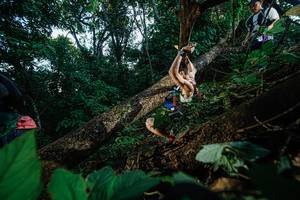 BIB: 
                            <button type="button" onclick="openModal(22776996)" class="btn btn-primary btn-sm float-right btn-popup" data-toggle="modal" data-target=".modal-high-quality">
                        <i class="fas fa-shopping-cart"></i> Add to Cart
                    </button>
                                            <button type="button" onclick="isThisMe(22776996, true)" class="btn btn-success btn-sm float-right btn-popup btn-isme hidden" data-toggle="tooltip" data-placement="bottom" title="นี่คือรูปของคุณใช่ไหม คลิกที่นี่เพื่อเอาเข้าอัลบั้ม">
                        <i class="fas fa-plus"></i> Add to album
                    </button>
                    <button type="button" onclick="isThisMe(22776996, false)" class="btn btn-warning btn-sm float-right btn-popup btn-isnotme hidden">
                        <i class="fas fa-ban"></i> Remove from album
                    </button>