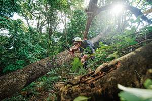 BIB: 
                            <button type="button" onclick="openModal(22777972)" class="btn btn-primary btn-sm float-right btn-popup" data-toggle="modal" data-target=".modal-high-quality">
                        <i class="fas fa-shopping-cart"></i> Add to Cart
                    </button>
                                            <button type="button" onclick="isThisMe(22777972, true)" class="btn btn-success btn-sm float-right btn-popup btn-isme hidden" data-toggle="tooltip" data-placement="bottom" title="นี่คือรูปของคุณใช่ไหม คลิกที่นี่เพื่อเอาเข้าอัลบั้ม">
                        <i class="fas fa-plus"></i> Add to album
                    </button>
                    <button type="button" onclick="isThisMe(22777972, false)" class="btn btn-warning btn-sm float-right btn-popup btn-isnotme hidden">
                        <i class="fas fa-ban"></i> Remove from album
                    </button>