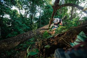 BIB: 
                            <button type="button" onclick="openModal(22777485)" class="btn btn-primary btn-sm float-right btn-popup" data-toggle="modal" data-target=".modal-high-quality">
                        <i class="fas fa-shopping-cart"></i> Add to Cart
                    </button>
                                            <button type="button" onclick="isThisMe(22777485, true)" class="btn btn-success btn-sm float-right btn-popup btn-isme hidden" data-toggle="tooltip" data-placement="bottom" title="นี่คือรูปของคุณใช่ไหม คลิกที่นี่เพื่อเอาเข้าอัลบั้ม">
                        <i class="fas fa-plus"></i> Add to album
                    </button>
                    <button type="button" onclick="isThisMe(22777485, false)" class="btn btn-warning btn-sm float-right btn-popup btn-isnotme hidden">
                        <i class="fas fa-ban"></i> Remove from album
                    </button>