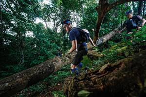 BIB: 
                            <button type="button" onclick="openModal(22778354)" class="btn btn-primary btn-sm float-right btn-popup" data-toggle="modal" data-target=".modal-high-quality">
                        <i class="fas fa-shopping-cart"></i> Add to Cart
                    </button>
                                            <button type="button" onclick="isThisMe(22778354, true)" class="btn btn-success btn-sm float-right btn-popup btn-isme hidden" data-toggle="tooltip" data-placement="bottom" title="นี่คือรูปของคุณใช่ไหม คลิกที่นี่เพื่อเอาเข้าอัลบั้ม">
                        <i class="fas fa-plus"></i> Add to album
                    </button>
                    <button type="button" onclick="isThisMe(22778354, false)" class="btn btn-warning btn-sm float-right btn-popup btn-isnotme hidden">
                        <i class="fas fa-ban"></i> Remove from album
                    </button>