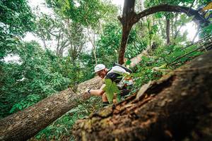 BIB: 
                            <button type="button" onclick="openModal(22779283)" class="btn btn-primary btn-sm float-right btn-popup" data-toggle="modal" data-target=".modal-high-quality">
                        <i class="fas fa-shopping-cart"></i> Add to Cart
                    </button>
                                            <button type="button" onclick="isThisMe(22779283, true)" class="btn btn-success btn-sm float-right btn-popup btn-isme hidden" data-toggle="tooltip" data-placement="bottom" title="นี่คือรูปของคุณใช่ไหม คลิกที่นี่เพื่อเอาเข้าอัลบั้ม">
                        <i class="fas fa-plus"></i> Add to album
                    </button>
                    <button type="button" onclick="isThisMe(22779283, false)" class="btn btn-warning btn-sm float-right btn-popup btn-isnotme hidden">
                        <i class="fas fa-ban"></i> Remove from album
                    </button>