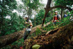 BIB: 
                            <button type="button" onclick="openModal(22778923)" class="btn btn-primary btn-sm float-right btn-popup" data-toggle="modal" data-target=".modal-high-quality">
                        <i class="fas fa-shopping-cart"></i> Add to Cart
                    </button>
                                            <button type="button" onclick="isThisMe(22778923, true)" class="btn btn-success btn-sm float-right btn-popup btn-isme hidden" data-toggle="tooltip" data-placement="bottom" title="นี่คือรูปของคุณใช่ไหม คลิกที่นี่เพื่อเอาเข้าอัลบั้ม">
                        <i class="fas fa-plus"></i> Add to album
                    </button>
                    <button type="button" onclick="isThisMe(22778923, false)" class="btn btn-warning btn-sm float-right btn-popup btn-isnotme hidden">
                        <i class="fas fa-ban"></i> Remove from album
                    </button>