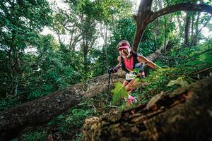 BIB: 
                            <button type="button" onclick="openModal(22778188)" class="btn btn-primary btn-sm float-right btn-popup" data-toggle="modal" data-target=".modal-high-quality">
                        <i class="fas fa-shopping-cart"></i> Add to Cart
                    </button>
                                            <button type="button" onclick="isThisMe(22778188, true)" class="btn btn-success btn-sm float-right btn-popup btn-isme hidden" data-toggle="tooltip" data-placement="bottom" title="นี่คือรูปของคุณใช่ไหม คลิกที่นี่เพื่อเอาเข้าอัลบั้ม">
                        <i class="fas fa-plus"></i> Add to album
                    </button>
                    <button type="button" onclick="isThisMe(22778188, false)" class="btn btn-warning btn-sm float-right btn-popup btn-isnotme hidden">
                        <i class="fas fa-ban"></i> Remove from album
                    </button>