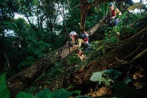 BIB: 
                            <button type="button" onclick="openModal(22777085)" class="btn btn-primary btn-sm float-right btn-popup" data-toggle="modal" data-target=".modal-high-quality">
                        <i class="fas fa-shopping-cart"></i> Add to Cart
                    </button>
                                            <button type="button" onclick="isThisMe(22777085, true)" class="btn btn-success btn-sm float-right btn-popup btn-isme hidden" data-toggle="tooltip" data-placement="bottom" title="นี่คือรูปของคุณใช่ไหม คลิกที่นี่เพื่อเอาเข้าอัลบั้ม">
                        <i class="fas fa-plus"></i> Add to album
                    </button>
                    <button type="button" onclick="isThisMe(22777085, false)" class="btn btn-warning btn-sm float-right btn-popup btn-isnotme hidden">
                        <i class="fas fa-ban"></i> Remove from album
                    </button>