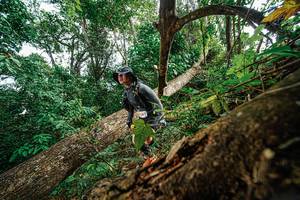 BIB: 
                            <button type="button" onclick="openModal(22778671)" class="btn btn-primary btn-sm float-right btn-popup" data-toggle="modal" data-target=".modal-high-quality">
                        <i class="fas fa-shopping-cart"></i> Add to Cart
                    </button>
                                            <button type="button" onclick="isThisMe(22778671, true)" class="btn btn-success btn-sm float-right btn-popup btn-isme hidden" data-toggle="tooltip" data-placement="bottom" title="นี่คือรูปของคุณใช่ไหม คลิกที่นี่เพื่อเอาเข้าอัลบั้ม">
                        <i class="fas fa-plus"></i> Add to album
                    </button>
                    <button type="button" onclick="isThisMe(22778671, false)" class="btn btn-warning btn-sm float-right btn-popup btn-isnotme hidden">
                        <i class="fas fa-ban"></i> Remove from album
                    </button>