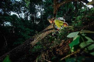 BIB: 
                            <button type="button" onclick="openModal(22775193)" class="btn btn-primary btn-sm float-right btn-popup" data-toggle="modal" data-target=".modal-high-quality">
                        <i class="fas fa-shopping-cart"></i> Add to Cart
                    </button>
                                            <button type="button" onclick="isThisMe(22775193, true)" class="btn btn-success btn-sm float-right btn-popup btn-isme hidden" data-toggle="tooltip" data-placement="bottom" title="นี่คือรูปของคุณใช่ไหม คลิกที่นี่เพื่อเอาเข้าอัลบั้ม">
                        <i class="fas fa-plus"></i> Add to album
                    </button>
                    <button type="button" onclick="isThisMe(22775193, false)" class="btn btn-warning btn-sm float-right btn-popup btn-isnotme hidden">
                        <i class="fas fa-ban"></i> Remove from album
                    </button>