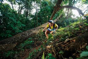 BIB: 
                            <button type="button" onclick="openModal(22777565)" class="btn btn-primary btn-sm float-right btn-popup" data-toggle="modal" data-target=".modal-high-quality">
                        <i class="fas fa-shopping-cart"></i> Add to Cart
                    </button>
                                            <button type="button" onclick="isThisMe(22777565, true)" class="btn btn-success btn-sm float-right btn-popup btn-isme hidden" data-toggle="tooltip" data-placement="bottom" title="นี่คือรูปของคุณใช่ไหม คลิกที่นี่เพื่อเอาเข้าอัลบั้ม">
                        <i class="fas fa-plus"></i> Add to album
                    </button>
                    <button type="button" onclick="isThisMe(22777565, false)" class="btn btn-warning btn-sm float-right btn-popup btn-isnotme hidden">
                        <i class="fas fa-ban"></i> Remove from album
                    </button>