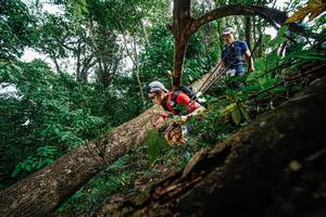 BIB: 
                            <button type="button" onclick="openModal(22778664)" class="btn btn-primary btn-sm float-right btn-popup" data-toggle="modal" data-target=".modal-high-quality">
                        <i class="fas fa-shopping-cart"></i> Add to Cart
                    </button>
                                            <button type="button" onclick="isThisMe(22778664, true)" class="btn btn-success btn-sm float-right btn-popup btn-isme hidden" data-toggle="tooltip" data-placement="bottom" title="นี่คือรูปของคุณใช่ไหม คลิกที่นี่เพื่อเอาเข้าอัลบั้ม">
                        <i class="fas fa-plus"></i> Add to album
                    </button>
                    <button type="button" onclick="isThisMe(22778664, false)" class="btn btn-warning btn-sm float-right btn-popup btn-isnotme hidden">
                        <i class="fas fa-ban"></i> Remove from album
                    </button>