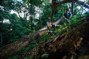 BIB: 
                            <button type="button" onclick="openModal(22778366)" class="btn btn-primary btn-sm float-right btn-popup" data-toggle="modal" data-target=".modal-high-quality">
                        <i class="fas fa-shopping-cart"></i> Add to Cart
                    </button>
                                            <button type="button" onclick="isThisMe(22778366, true)" class="btn btn-success btn-sm float-right btn-popup btn-isme hidden" data-toggle="tooltip" data-placement="bottom" title="นี่คือรูปของคุณใช่ไหม คลิกที่นี่เพื่อเอาเข้าอัลบั้ม">
                        <i class="fas fa-plus"></i> Add to album
                    </button>
                    <button type="button" onclick="isThisMe(22778366, false)" class="btn btn-warning btn-sm float-right btn-popup btn-isnotme hidden">
                        <i class="fas fa-ban"></i> Remove from album
                    </button>