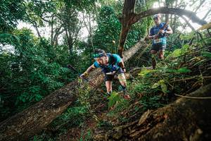 BIB: 
                            <button type="button" onclick="openModal(22777597)" class="btn btn-primary btn-sm float-right btn-popup" data-toggle="modal" data-target=".modal-high-quality">
                        <i class="fas fa-shopping-cart"></i> Add to Cart
                    </button>
                                            <button type="button" onclick="isThisMe(22777597, true)" class="btn btn-success btn-sm float-right btn-popup btn-isme hidden" data-toggle="tooltip" data-placement="bottom" title="นี่คือรูปของคุณใช่ไหม คลิกที่นี่เพื่อเอาเข้าอัลบั้ม">
                        <i class="fas fa-plus"></i> Add to album
                    </button>
                    <button type="button" onclick="isThisMe(22777597, false)" class="btn btn-warning btn-sm float-right btn-popup btn-isnotme hidden">
                        <i class="fas fa-ban"></i> Remove from album
                    </button>