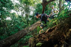 BIB: 
                            <button type="button" onclick="openModal(22778411)" class="btn btn-primary btn-sm float-right btn-popup" data-toggle="modal" data-target=".modal-high-quality">
                        <i class="fas fa-shopping-cart"></i> Add to Cart
                    </button>
                                            <button type="button" onclick="isThisMe(22778411, true)" class="btn btn-success btn-sm float-right btn-popup btn-isme hidden" data-toggle="tooltip" data-placement="bottom" title="นี่คือรูปของคุณใช่ไหม คลิกที่นี่เพื่อเอาเข้าอัลบั้ม">
                        <i class="fas fa-plus"></i> Add to album
                    </button>
                    <button type="button" onclick="isThisMe(22778411, false)" class="btn btn-warning btn-sm float-right btn-popup btn-isnotme hidden">
                        <i class="fas fa-ban"></i> Remove from album
                    </button>