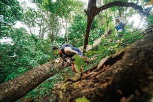 BIB: 
                            <button type="button" onclick="openModal(22779275)" class="btn btn-primary btn-sm float-right btn-popup" data-toggle="modal" data-target=".modal-high-quality">
                        <i class="fas fa-shopping-cart"></i> Add to Cart
                    </button>
                                            <button type="button" onclick="isThisMe(22779275, true)" class="btn btn-success btn-sm float-right btn-popup btn-isme hidden" data-toggle="tooltip" data-placement="bottom" title="นี่คือรูปของคุณใช่ไหม คลิกที่นี่เพื่อเอาเข้าอัลบั้ม">
                        <i class="fas fa-plus"></i> Add to album
                    </button>
                    <button type="button" onclick="isThisMe(22779275, false)" class="btn btn-warning btn-sm float-right btn-popup btn-isnotme hidden">
                        <i class="fas fa-ban"></i> Remove from album
                    </button>