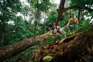 BIB: 
                            <button type="button" onclick="openModal(22778941)" class="btn btn-primary btn-sm float-right btn-popup" data-toggle="modal" data-target=".modal-high-quality">
                        <i class="fas fa-shopping-cart"></i> Add to Cart
                    </button>
                                            <button type="button" onclick="isThisMe(22778941, true)" class="btn btn-success btn-sm float-right btn-popup btn-isme hidden" data-toggle="tooltip" data-placement="bottom" title="นี่คือรูปของคุณใช่ไหม คลิกที่นี่เพื่อเอาเข้าอัลบั้ม">
                        <i class="fas fa-plus"></i> Add to album
                    </button>
                    <button type="button" onclick="isThisMe(22778941, false)" class="btn btn-warning btn-sm float-right btn-popup btn-isnotme hidden">
                        <i class="fas fa-ban"></i> Remove from album
                    </button>