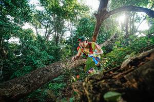 BIB: 
                            <button type="button" onclick="openModal(22777774)" class="btn btn-primary btn-sm float-right btn-popup" data-toggle="modal" data-target=".modal-high-quality">
                        <i class="fas fa-shopping-cart"></i> Add to Cart
                    </button>
                                            <button type="button" onclick="isThisMe(22777774, true)" class="btn btn-success btn-sm float-right btn-popup btn-isme hidden" data-toggle="tooltip" data-placement="bottom" title="นี่คือรูปของคุณใช่ไหม คลิกที่นี่เพื่อเอาเข้าอัลบั้ม">
                        <i class="fas fa-plus"></i> Add to album
                    </button>
                    <button type="button" onclick="isThisMe(22777774, false)" class="btn btn-warning btn-sm float-right btn-popup btn-isnotme hidden">
                        <i class="fas fa-ban"></i> Remove from album
                    </button>