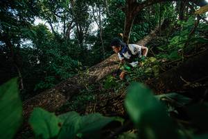 BIB: 
                            <button type="button" onclick="openModal(22777322)" class="btn btn-primary btn-sm float-right btn-popup" data-toggle="modal" data-target=".modal-high-quality">
                        <i class="fas fa-shopping-cart"></i> Add to Cart
                    </button>
                                            <button type="button" onclick="isThisMe(22777322, true)" class="btn btn-success btn-sm float-right btn-popup btn-isme hidden" data-toggle="tooltip" data-placement="bottom" title="นี่คือรูปของคุณใช่ไหม คลิกที่นี่เพื่อเอาเข้าอัลบั้ม">
                        <i class="fas fa-plus"></i> Add to album
                    </button>
                    <button type="button" onclick="isThisMe(22777322, false)" class="btn btn-warning btn-sm float-right btn-popup btn-isnotme hidden">
                        <i class="fas fa-ban"></i> Remove from album
                    </button>