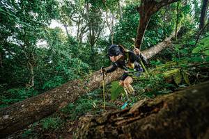 BIB: 
                            <button type="button" onclick="openModal(22778485)" class="btn btn-primary btn-sm float-right btn-popup" data-toggle="modal" data-target=".modal-high-quality">
                        <i class="fas fa-shopping-cart"></i> Add to Cart
                    </button>
                                            <button type="button" onclick="isThisMe(22778485, true)" class="btn btn-success btn-sm float-right btn-popup btn-isme hidden" data-toggle="tooltip" data-placement="bottom" title="นี่คือรูปของคุณใช่ไหม คลิกที่นี่เพื่อเอาเข้าอัลบั้ม">
                        <i class="fas fa-plus"></i> Add to album
                    </button>
                    <button type="button" onclick="isThisMe(22778485, false)" class="btn btn-warning btn-sm float-right btn-popup btn-isnotme hidden">
                        <i class="fas fa-ban"></i> Remove from album
                    </button>