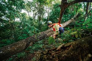 BIB: 
                            <button type="button" onclick="openModal(22778461)" class="btn btn-primary btn-sm float-right btn-popup" data-toggle="modal" data-target=".modal-high-quality">
                        <i class="fas fa-shopping-cart"></i> Add to Cart
                    </button>
                                            <button type="button" onclick="isThisMe(22778461, true)" class="btn btn-success btn-sm float-right btn-popup btn-isme hidden" data-toggle="tooltip" data-placement="bottom" title="นี่คือรูปของคุณใช่ไหม คลิกที่นี่เพื่อเอาเข้าอัลบั้ม">
                        <i class="fas fa-plus"></i> Add to album
                    </button>
                    <button type="button" onclick="isThisMe(22778461, false)" class="btn btn-warning btn-sm float-right btn-popup btn-isnotme hidden">
                        <i class="fas fa-ban"></i> Remove from album
                    </button>