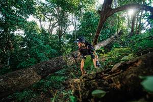 BIB: 
                            <button type="button" onclick="openModal(22777846)" class="btn btn-primary btn-sm float-right btn-popup" data-toggle="modal" data-target=".modal-high-quality">
                        <i class="fas fa-shopping-cart"></i> Add to Cart
                    </button>
                                            <button type="button" onclick="isThisMe(22777846, true)" class="btn btn-success btn-sm float-right btn-popup btn-isme hidden" data-toggle="tooltip" data-placement="bottom" title="นี่คือรูปของคุณใช่ไหม คลิกที่นี่เพื่อเอาเข้าอัลบั้ม">
                        <i class="fas fa-plus"></i> Add to album
                    </button>
                    <button type="button" onclick="isThisMe(22777846, false)" class="btn btn-warning btn-sm float-right btn-popup btn-isnotme hidden">
                        <i class="fas fa-ban"></i> Remove from album
                    </button>