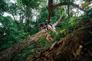 BIB: 
                            <button type="button" onclick="openModal(22778654)" class="btn btn-primary btn-sm float-right btn-popup" data-toggle="modal" data-target=".modal-high-quality">
                        <i class="fas fa-shopping-cart"></i> Add to Cart
                    </button>
                                            <button type="button" onclick="isThisMe(22778654, true)" class="btn btn-success btn-sm float-right btn-popup btn-isme hidden" data-toggle="tooltip" data-placement="bottom" title="นี่คือรูปของคุณใช่ไหม คลิกที่นี่เพื่อเอาเข้าอัลบั้ม">
                        <i class="fas fa-plus"></i> Add to album
                    </button>
                    <button type="button" onclick="isThisMe(22778654, false)" class="btn btn-warning btn-sm float-right btn-popup btn-isnotme hidden">
                        <i class="fas fa-ban"></i> Remove from album
                    </button>