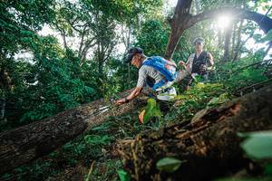 BIB: 
                            <button type="button" onclick="openModal(22777863)" class="btn btn-primary btn-sm float-right btn-popup" data-toggle="modal" data-target=".modal-high-quality">
                        <i class="fas fa-shopping-cart"></i> Add to Cart
                    </button>
                                            <button type="button" onclick="isThisMe(22777863, true)" class="btn btn-success btn-sm float-right btn-popup btn-isme hidden" data-toggle="tooltip" data-placement="bottom" title="นี่คือรูปของคุณใช่ไหม คลิกที่นี่เพื่อเอาเข้าอัลบั้ม">
                        <i class="fas fa-plus"></i> Add to album
                    </button>
                    <button type="button" onclick="isThisMe(22777863, false)" class="btn btn-warning btn-sm float-right btn-popup btn-isnotme hidden">
                        <i class="fas fa-ban"></i> Remove from album
                    </button>