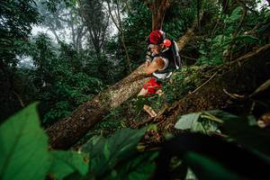 BIB: 
                            <button type="button" onclick="openModal(22776775)" class="btn btn-primary btn-sm float-right btn-popup" data-toggle="modal" data-target=".modal-high-quality">
                        <i class="fas fa-shopping-cart"></i> Add to Cart
                    </button>
                                            <button type="button" onclick="isThisMe(22776775, true)" class="btn btn-success btn-sm float-right btn-popup btn-isme hidden" data-toggle="tooltip" data-placement="bottom" title="นี่คือรูปของคุณใช่ไหม คลิกที่นี่เพื่อเอาเข้าอัลบั้ม">
                        <i class="fas fa-plus"></i> Add to album
                    </button>
                    <button type="button" onclick="isThisMe(22776775, false)" class="btn btn-warning btn-sm float-right btn-popup btn-isnotme hidden">
                        <i class="fas fa-ban"></i> Remove from album
                    </button>