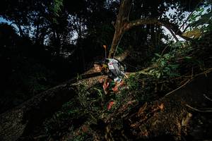 BIB: 
                            <button type="button" onclick="openModal(22774564)" class="btn btn-primary btn-sm float-right btn-popup" data-toggle="modal" data-target=".modal-high-quality">
                        <i class="fas fa-shopping-cart"></i> Add to Cart
                    </button>
                                            <button type="button" onclick="isThisMe(22774564, true)" class="btn btn-success btn-sm float-right btn-popup btn-isme hidden" data-toggle="tooltip" data-placement="bottom" title="นี่คือรูปของคุณใช่ไหม คลิกที่นี่เพื่อเอาเข้าอัลบั้ม">
                        <i class="fas fa-plus"></i> Add to album
                    </button>
                    <button type="button" onclick="isThisMe(22774564, false)" class="btn btn-warning btn-sm float-right btn-popup btn-isnotme hidden">
                        <i class="fas fa-ban"></i> Remove from album
                    </button>