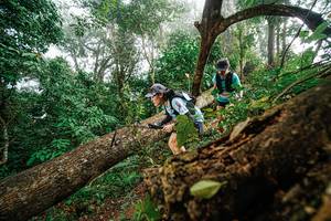 BIB: 
                            <button type="button" onclick="openModal(22779032)" class="btn btn-primary btn-sm float-right btn-popup" data-toggle="modal" data-target=".modal-high-quality">
                        <i class="fas fa-shopping-cart"></i> Add to Cart
                    </button>
                                            <button type="button" onclick="isThisMe(22779032, true)" class="btn btn-success btn-sm float-right btn-popup btn-isme hidden" data-toggle="tooltip" data-placement="bottom" title="นี่คือรูปของคุณใช่ไหม คลิกที่นี่เพื่อเอาเข้าอัลบั้ม">
                        <i class="fas fa-plus"></i> Add to album
                    </button>
                    <button type="button" onclick="isThisMe(22779032, false)" class="btn btn-warning btn-sm float-right btn-popup btn-isnotme hidden">
                        <i class="fas fa-ban"></i> Remove from album
                    </button>