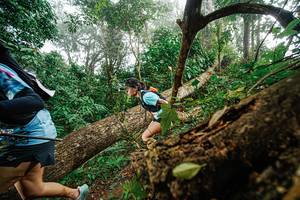 BIB: 
                            <button type="button" onclick="openModal(22779035)" class="btn btn-primary btn-sm float-right btn-popup" data-toggle="modal" data-target=".modal-high-quality">
                        <i class="fas fa-shopping-cart"></i> Add to Cart
                    </button>
                                            <button type="button" onclick="isThisMe(22779035, true)" class="btn btn-success btn-sm float-right btn-popup btn-isme hidden" data-toggle="tooltip" data-placement="bottom" title="นี่คือรูปของคุณใช่ไหม คลิกที่นี่เพื่อเอาเข้าอัลบั้ม">
                        <i class="fas fa-plus"></i> Add to album
                    </button>
                    <button type="button" onclick="isThisMe(22779035, false)" class="btn btn-warning btn-sm float-right btn-popup btn-isnotme hidden">
                        <i class="fas fa-ban"></i> Remove from album
                    </button>