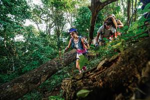 BIB: 
                            <button type="button" onclick="openModal(22778414)" class="btn btn-primary btn-sm float-right btn-popup" data-toggle="modal" data-target=".modal-high-quality">
                        <i class="fas fa-shopping-cart"></i> Add to Cart
                    </button>
                                            <button type="button" onclick="isThisMe(22778414, true)" class="btn btn-success btn-sm float-right btn-popup btn-isme hidden" data-toggle="tooltip" data-placement="bottom" title="นี่คือรูปของคุณใช่ไหม คลิกที่นี่เพื่อเอาเข้าอัลบั้ม">
                        <i class="fas fa-plus"></i> Add to album
                    </button>
                    <button type="button" onclick="isThisMe(22778414, false)" class="btn btn-warning btn-sm float-right btn-popup btn-isnotme hidden">
                        <i class="fas fa-ban"></i> Remove from album
                    </button>