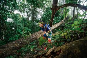 BIB: 
                            <button type="button" onclick="openModal(22778652)" class="btn btn-primary btn-sm float-right btn-popup" data-toggle="modal" data-target=".modal-high-quality">
                        <i class="fas fa-shopping-cart"></i> Add to Cart
                    </button>
                                            <button type="button" onclick="isThisMe(22778652, true)" class="btn btn-success btn-sm float-right btn-popup btn-isme hidden" data-toggle="tooltip" data-placement="bottom" title="นี่คือรูปของคุณใช่ไหม คลิกที่นี่เพื่อเอาเข้าอัลบั้ม">
                        <i class="fas fa-plus"></i> Add to album
                    </button>
                    <button type="button" onclick="isThisMe(22778652, false)" class="btn btn-warning btn-sm float-right btn-popup btn-isnotme hidden">
                        <i class="fas fa-ban"></i> Remove from album
                    </button>