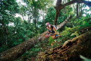 BIB: 
                            <button type="button" onclick="openModal(22778016)" class="btn btn-primary btn-sm float-right btn-popup" data-toggle="modal" data-target=".modal-high-quality">
                        <i class="fas fa-shopping-cart"></i> Add to Cart
                    </button>
                                            <button type="button" onclick="isThisMe(22778016, true)" class="btn btn-success btn-sm float-right btn-popup btn-isme hidden" data-toggle="tooltip" data-placement="bottom" title="นี่คือรูปของคุณใช่ไหม คลิกที่นี่เพื่อเอาเข้าอัลบั้ม">
                        <i class="fas fa-plus"></i> Add to album
                    </button>
                    <button type="button" onclick="isThisMe(22778016, false)" class="btn btn-warning btn-sm float-right btn-popup btn-isnotme hidden">
                        <i class="fas fa-ban"></i> Remove from album
                    </button>